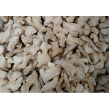 New Promotion purity natural Best selling ginger price in china